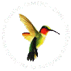 Logo_CEMEHC_FondoObscuro_Transparente_100x100